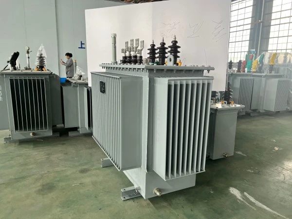 S13 Single Phase Oil Immersed Electrical Transformer